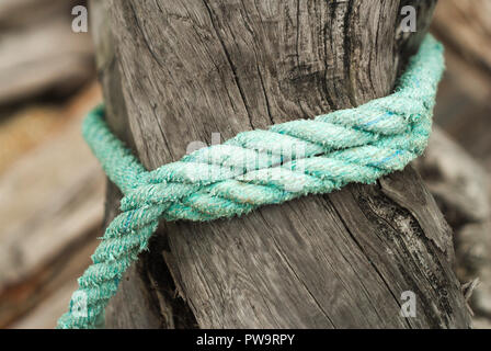 Una cuerda vieja atada alrededor de un tronco en Stave Lake en Mission, Columbia Británica, Canadá Foto de stock