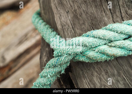 Una cuerda vieja atada alrededor de un tronco en Stave Lake en Mission, Columbia Británica, Canadá Foto de stock