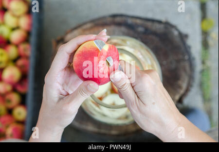 Decisiones de vinagre de manzana - escena desde arriba - mano pelar manzanas Foto de stock