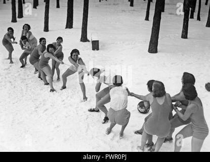 El remolcador de la guerra de invierno. Dos equipos de mujeres en bathingsuits están teniendo un tirón de la guerra en la nieve. 1930