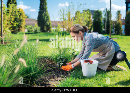 Feliz atractiva mujer sonriendo mientras colocaba poco planta verde en el suelo Foto de stock