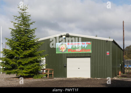 La plantación de árboles de Navidad en Newbury o granja en Berkshire, Reino Unido Foto de stock