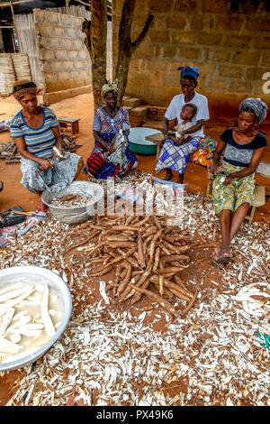 Grupo de mujeres pelando la yuca en las afueras de LomÃ©, Togo. Foto de stock