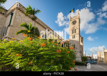 Bridgetown, Barbados - Diciembre 18, 2016: El edificio del Parlamento en la ciudad de Bridgetown, Barbados, el Caribe. Flores en primer plano.