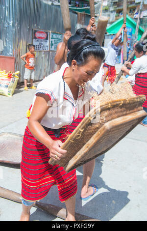 Mujer de la minoría Ifugao en una composición de arroz durante el festival Imbayah en Banaue Filipinas Foto de stock