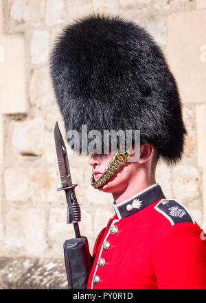 Guardia Real en la Torre de Londres, en Bearskin Hat, custodiando las joyas de la Corona, Londres, Inglaterra, Reino Unido, GB.