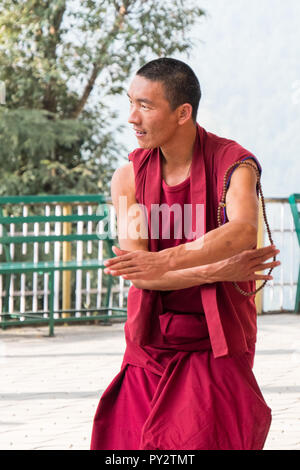Monje tibetano metida en un animado debate en el templo budista en Dharamsala, India Foto de stock