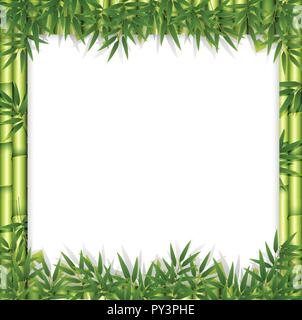 Marco de madera de bambú verde asiático con pergamino y hojas en estilo de  dibujos animados aislados sobre fondo blanco. Cartel vacío, póster de  plantilla. Vector ilu Imagen Vector de stock 