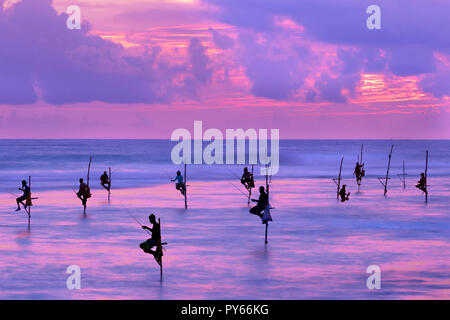 Los pescadores sobre pilotes en silueta al atardecer en Galle, Sri Lanka Foto de stock