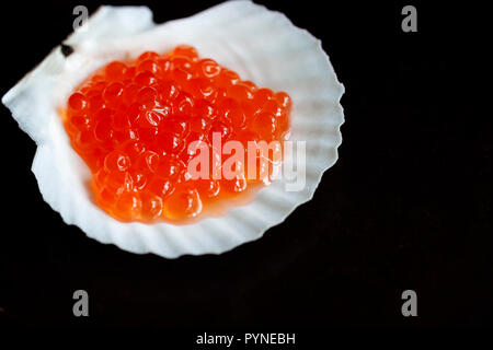 Rojo Salmón caviar en concha natural cerca en una placa oscura Foto de stock