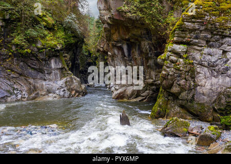 Coquihalla río que fluye hacia el cañón en el Parque Provincial Coquihalla Canyon, cerca de esperanza, British Columbia, Canadá.