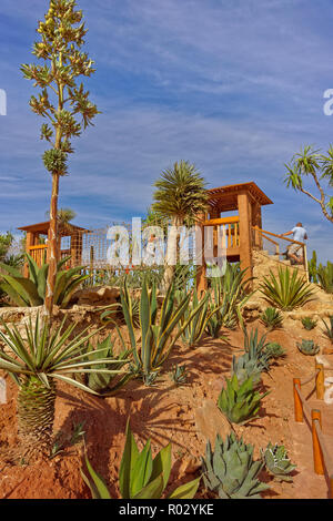 Jardín de Cactus característica y Aerial Walkway en Croco Park, Agadir, provincia de Souss-Massa, en el sur de Marruecos, Norte de África Occidental. Foto de stock