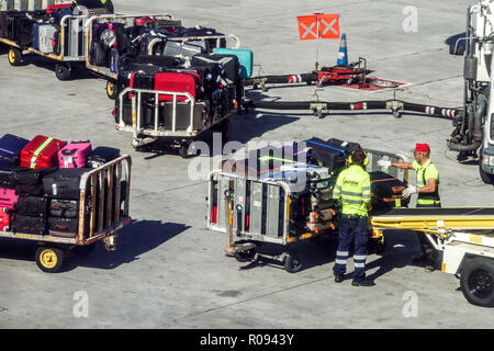 por ciento Fuera vender Descargar las maletas del avión en el aeropuerto Fotografía de stock - Alamy