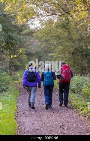 Tres jubilados mayores de cabellos grises señores caminando a lo largo de un ciclo ruta en la isla de Wight, cerca de Newport. mantenerse activo y mantenerse en forma más tarde en la vida. Foto de stock