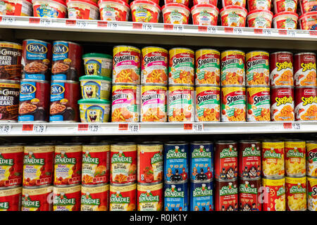 Estanterías llenas de alimentos enlatados para la venta en la pantalla en una pequeña tienda de ultramarinos en el especulador, NY ESTADOS UNIDOS Foto de stock