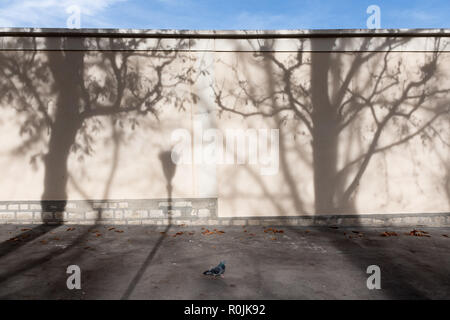 Las sombras de los árboles y un streetlamp en una pared, en París. Foto de stock