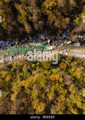 Colorido bosque en el valle del río Soca,antena vista drone, Eslovenia. Foto de stock