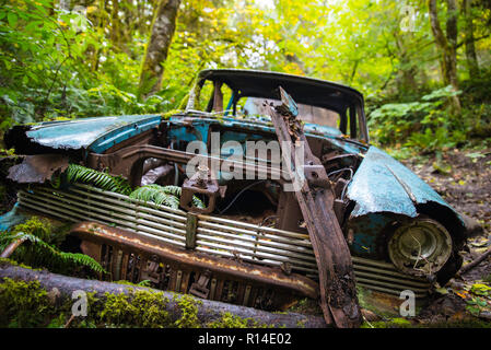 Rusty olvidado coche viejo en el bosque