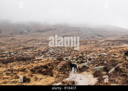 Vista desde Goatfell en la isla de Arran, Costa Oeste de Escocia.