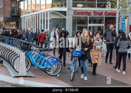 Mujer con una bicicleta de alquiler en Mass Ave en Cambridge, MA Foto de stock