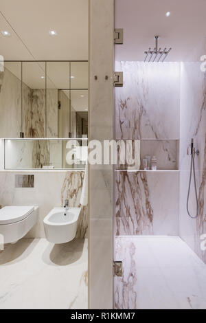 Baño con ducha higiénica para lavar los genitales externos. Una mano  sosteniendo una ducha higiénica Fotografía de stock - Alamy