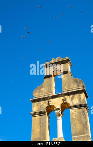 Bandada de golondrinas vuela por el cielo azul de un campanario, Grecia Corfu Foto de stock