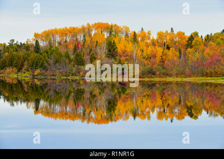 Colores del Otoño en el abedul, Aspen, arce madera mixta woodland reflejado en el río Vermilion, Mayor Walden en Sudbury, Ontario, Canadá