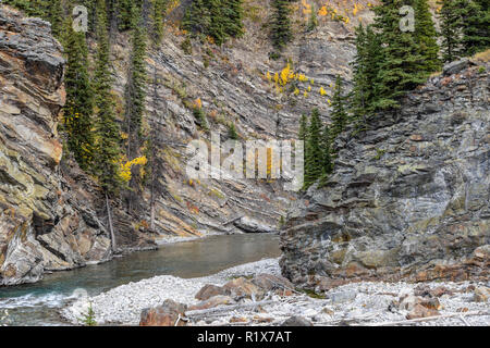 Colores de otoño en el rastro en las estribaciones de las montañas de Alberta. Foto de stock