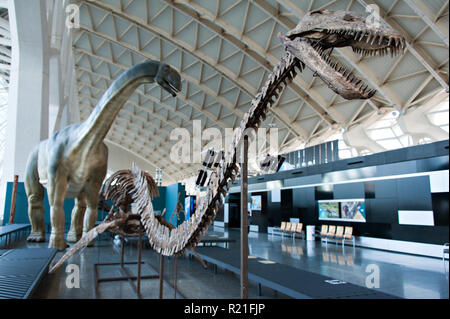 Un dinosaurio de tamaño vida esqueleto en el Museo de la ciencia en las  artes de las Ciencias, Valencia, España Fotografía de stock - Alamy
