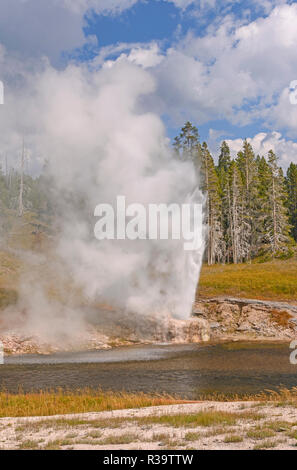 Erupción del Riverside géiser en el Parque Nacional de Yellowstone. Foto de stock
