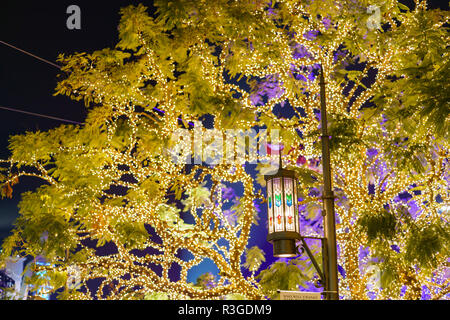 Los Ángeles, 19 de noviembre: vista nocturna de las hermosas luces de Navidad de la Arboleda en nov 19, 2018 en Los Angeles