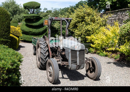 Vintage tractor Ferguson en Levens Hall & Gardens, Cumbria, Lake District inglés, REINO UNIDO Foto de stock