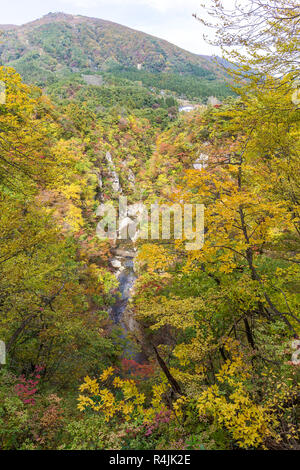 Naruko canyon en otoño Foto de stock
