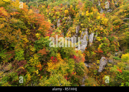 Naruko cañón con follaje de otoño en Japón Foto de stock