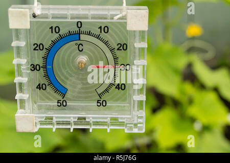 Termómetro para medir la temperatura del aire del invernadero