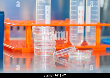 Materiales de laboratorio en un gabinete de flujo de aire laminar de seguridad en laboratorio