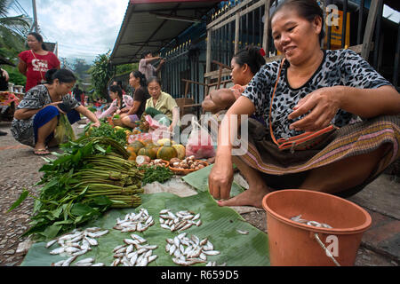 El mercado matinal en Luang Prabang, Laos. Para la venta de pescado. Comenzando temprano en la mañana, los vendedores locales convergen en esta calle en el centro de la ciudad de Luang Praba