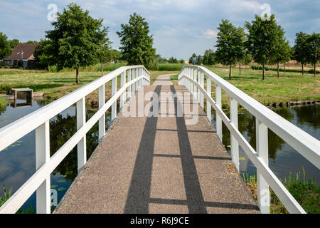 Pasarela de madera blanco tradicional o ciclistas bridge en un parque o en una zona residencial. Un paisaje holandés con carril bici a lo largo de canales de agua y paseos Foto de stock