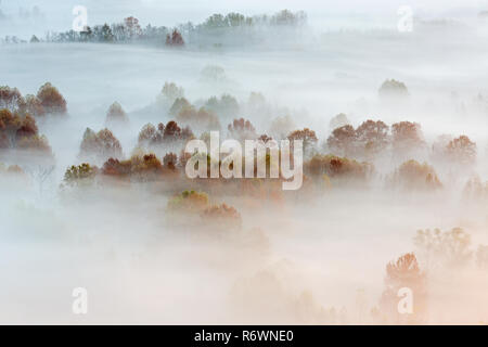 Un lugar maravilloso. Un bosque neblinoso amanecer en Italia. Hermoso paisaje. Foto de stock