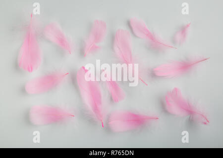 Plumas rosas nackground sobre un fondo blanco Fotografía de stock - Alamy