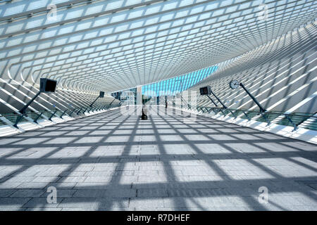 Valonia simétrica patrón sombra sol arquitectura moderna estructura de techo de vidrio y diseño de la construcción de la estación de tren de transporte público Bélgica Lieja