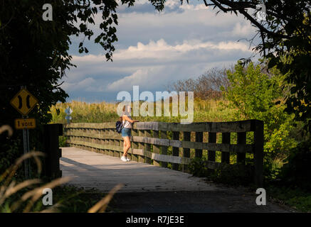 Un puente de madera en las Îles-de-Boucherville Parque Nacional en Quebec, Canadá. Una mujer caminando.