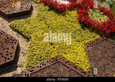 Flores amarillas, formando una estrella de David en la vista Fotografía de  stock - Alamy