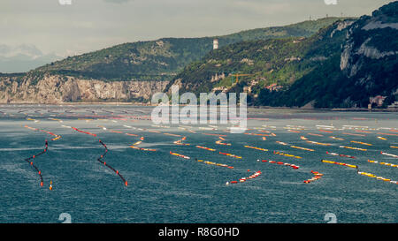 Extensiones de boyas de colores alineadas en el Golfo de Trieste, Friuli Venezia Giulia, Italia Foto de stock