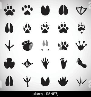 conjunto de huellas de animales. ilustración de icono de vector de