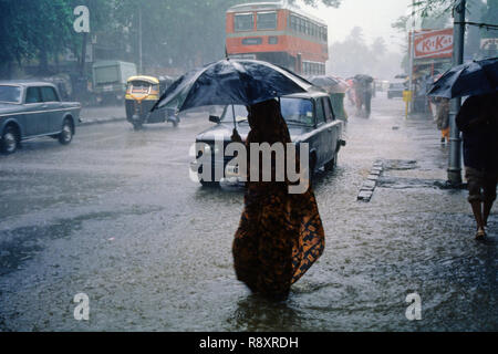 Lluvia monzónica , Mujer India bajo paraguas , Bombay , Mumbai , Maharashtra , India , Asia Foto de stock