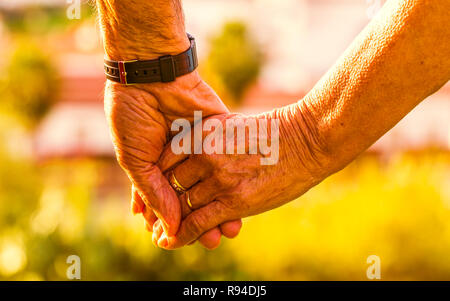 Captura recortada de la pareja de ancianos tomados de la mano exterior con la luz del atardecer. Se centran en las manos