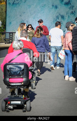 Vista trasera de un hombre y una mujer, ambos en silla de ruedas, scooters estilo unirse a las multitudes en la acera mientras turismo en los EE.UU. Foto de stock