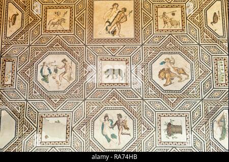 Piso de mosaico romano, Dioniso Mosaic, Roman-Germanic Museum, Colonia, Renania del Norte-Westfalia, Alemania Foto de stock