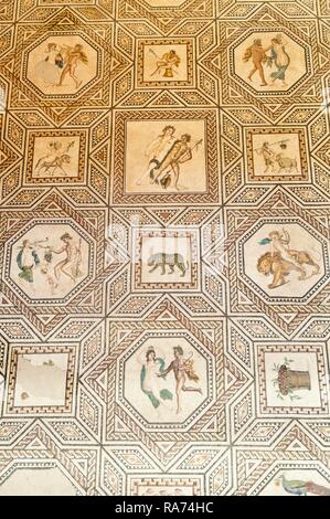 Piso de mosaico romano, Dioniso Mosaic, Roman-Germanic Museum, Colonia, Renania del Norte-Westfalia, Alemania Foto de stock